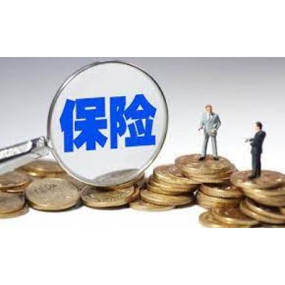 德国直邮保险物流破损高温保险 30元保值1000元 仓库快速赔付